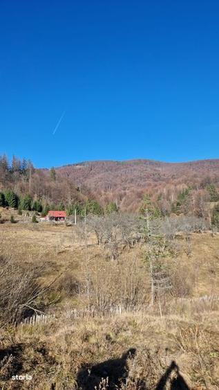 Teren Campul lui Neag Valea Parosenilor - 2