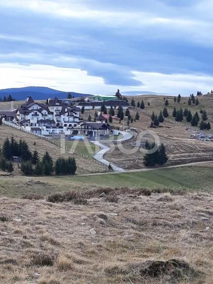 De vanzare teren extravilan 3854 mp acces auto Paltinis Sibiu - 5