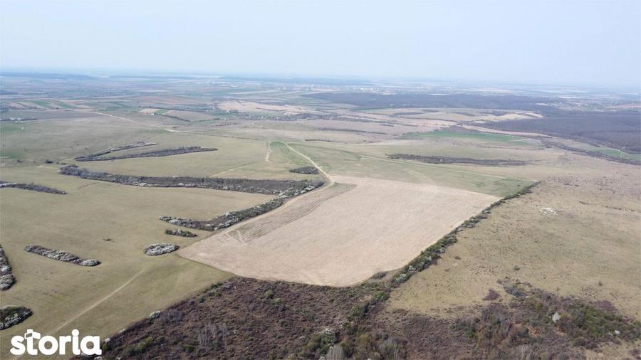 Teren 26.82 ha Ardud | Oportunitate pentru dezvoltare - 2