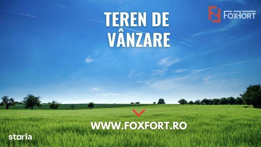 OPORTUNITATE - Teren extravilan - padure, 20.720 mp in Cincis - 2