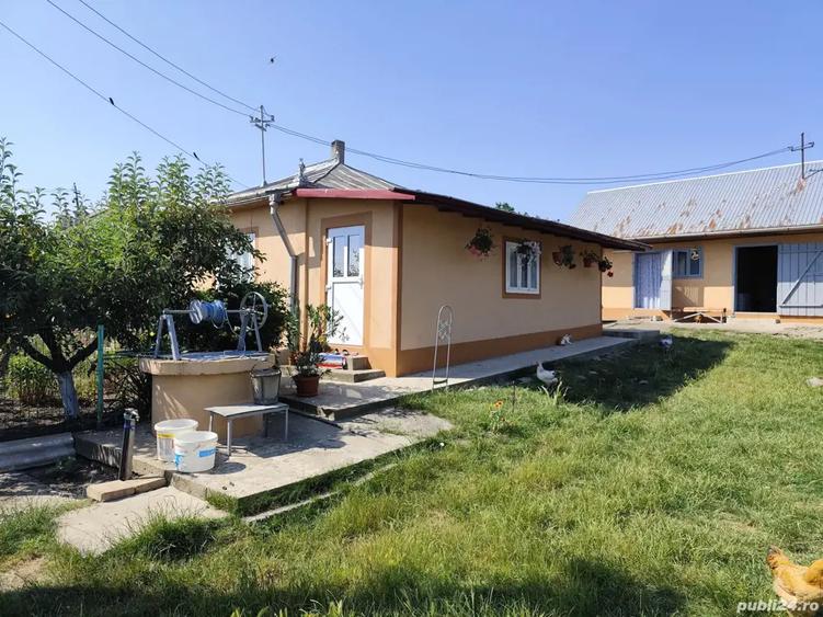 Casa batraneasca - 10