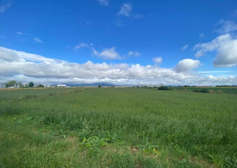 Teren extravilan, 7000mp, Cristian - 2