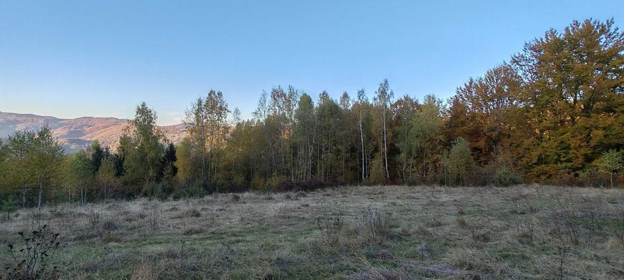 Teren de vanzare pe deal (Ideal Off-Grid, Remote, Retras) - 5