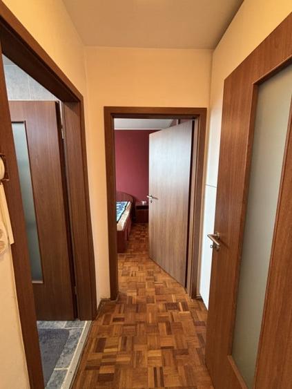 Apartament 2 camere - mobilat utilat - Terezian - 8