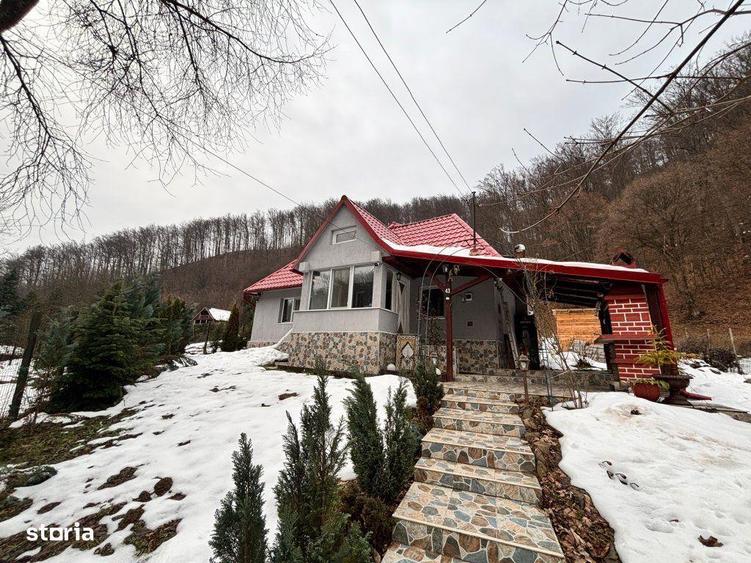 Casa vanzare Valea Neagra, Firiza - 20