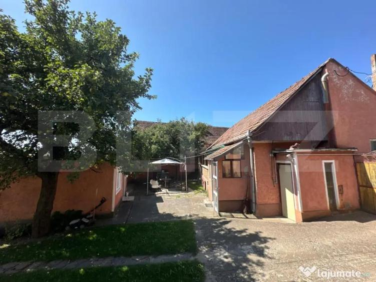 Casa saseasca de vanzare, curte, gradina, teren 3000 mp - Ji - 3
