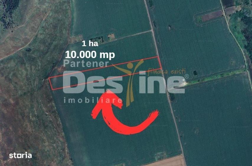 Spațiu comercial, în Uricani