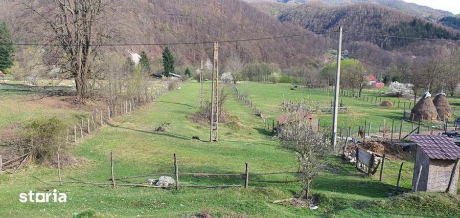 Teren intravilan Closani, 8674 mp pensiune/ casa vacanta - 5