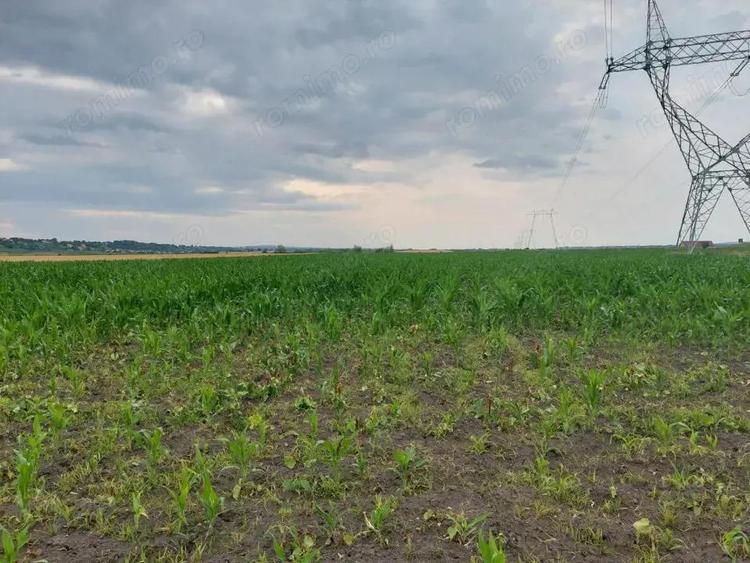 Oportunitate de Investitie!!! - 6