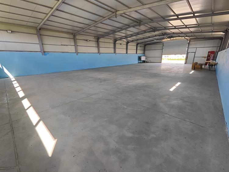 Hala noua depozitare/productie/logistica, zona Prejmer, 1200mp - 6