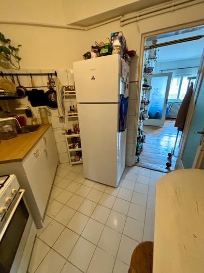 Vanzare apartament cu 3 camere Cismigiu - 7