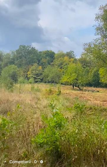 Teren de vanzare zona de munte - 2