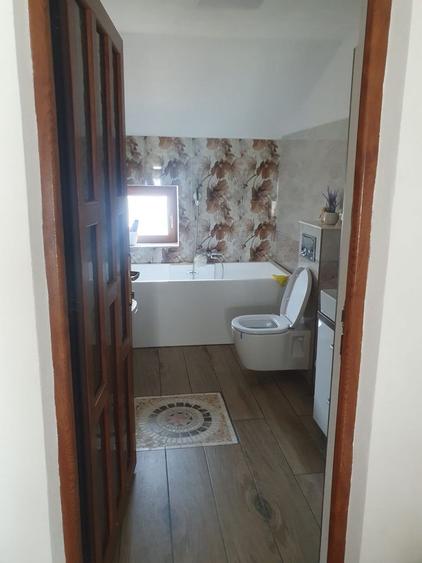 Casa insiruita de inchiriat Aradul Nou - 2