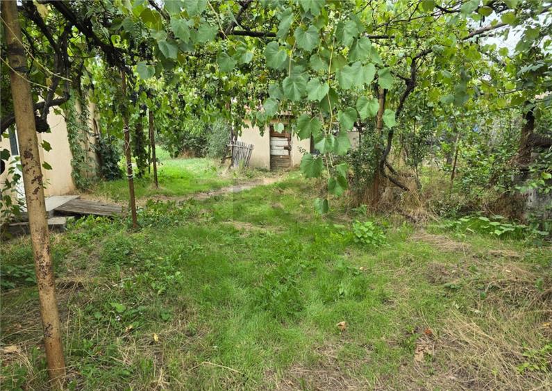 RECO IMOBILIARE CASA BATRANEASCA TINCA - 3