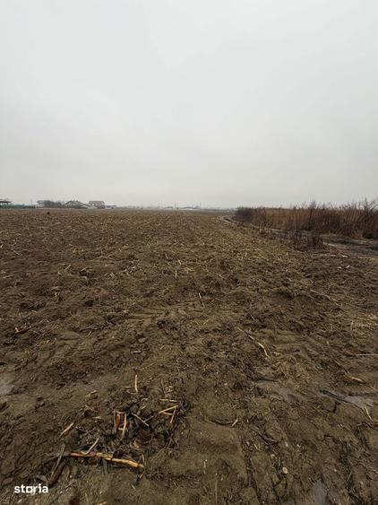 Vand Teren Hemeiusi sat Liliecipe strada prelungirea crinului - 6