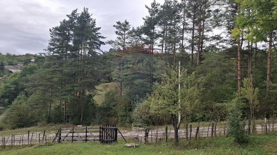Teren cu priveliste spectaculoasa, 4000mp, la 18km de Sinaia - 2