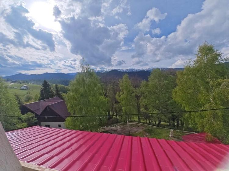 PESTERA CASA DE VANZARE - MOECIU! - 4