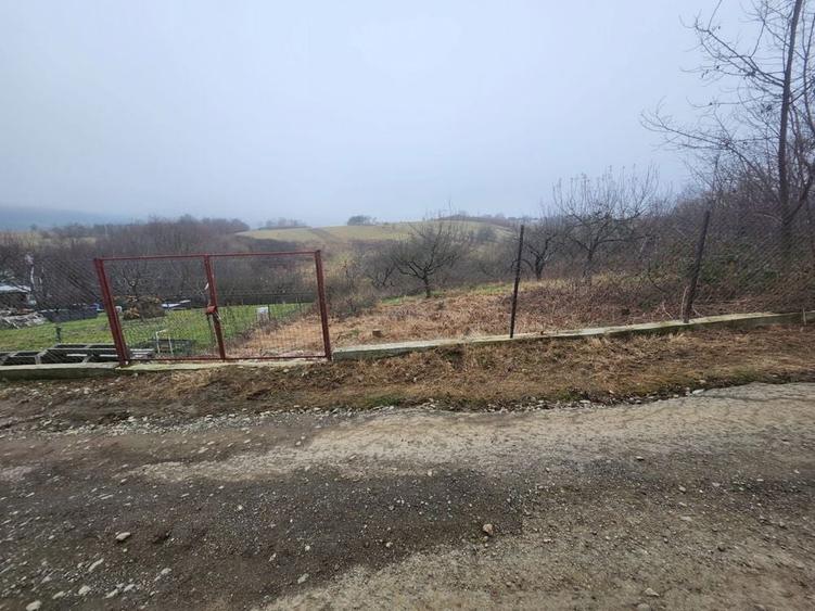 Vand Teren intravilan zona Tropinii Noi - 1