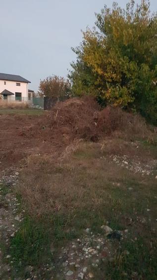 Domnesti, Ilfov teren de inchiriat - 1