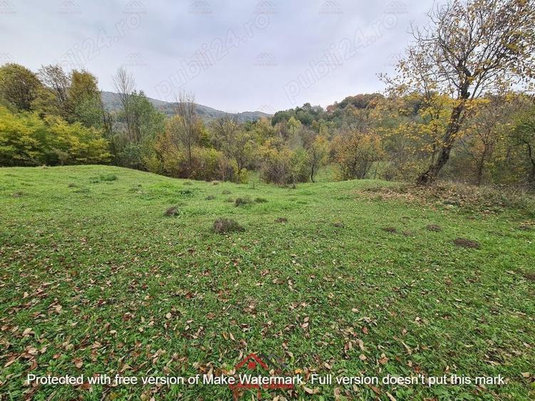 Teren intravilan in Provita de Jos 14.340 mp-- 90.000 e - 10