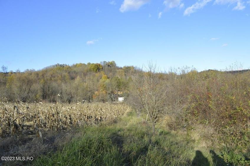 Babana - Centru - Primarie, Teren intravilan 13742 mp! - 10