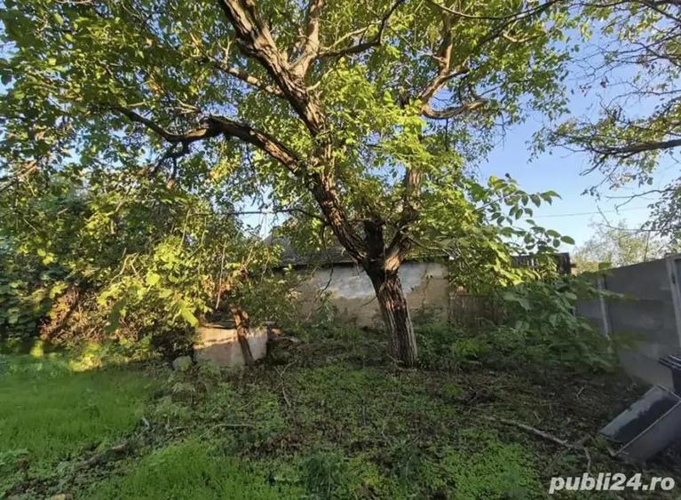 Casa batraneasca - 4