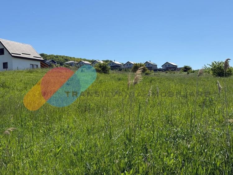 Teren Intravilan de 4.300 mp cu Acces Asfaltat – Popești, Cluj-Napoca - 2