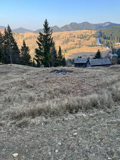 Teren de vanzare Campulung Moldovenesc, Izvorul Alb - 2