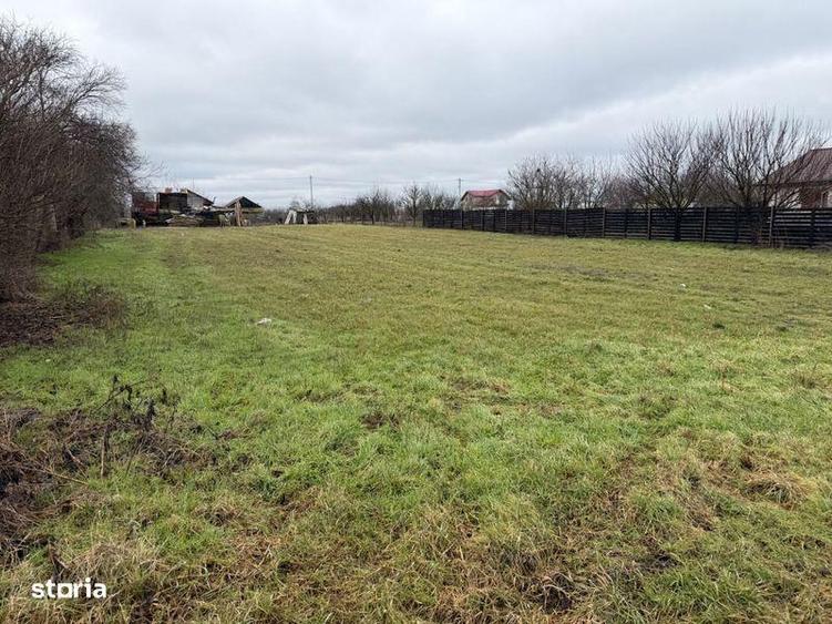 Teren de Vanzare Gradistea Sitaru - 5
