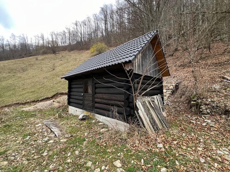 Teren intravilan 12.800 mp investitie - 4