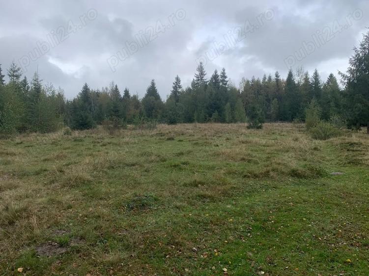 Teren de 7501 mp, în Călățele