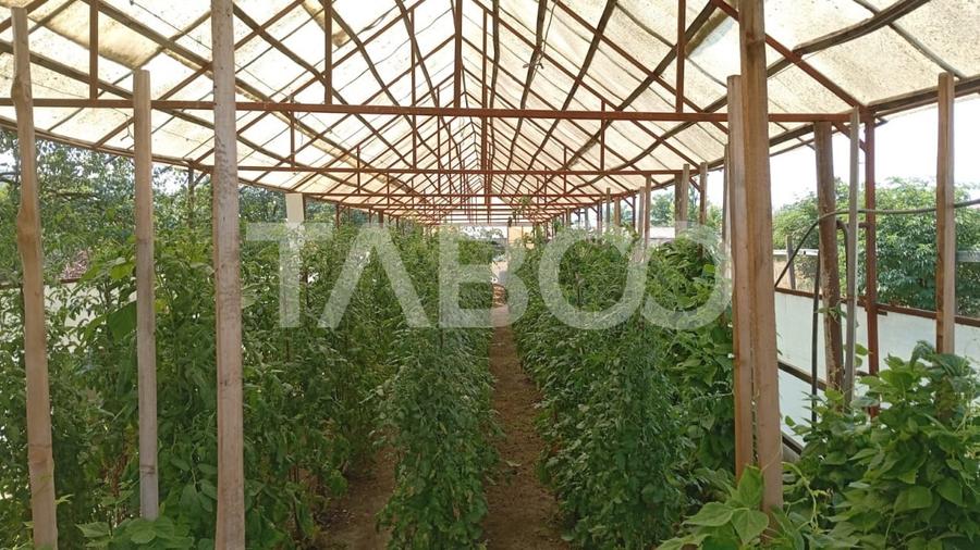 Casa cu curte si gradina de vanzare in Sebes judetul Alba - 11