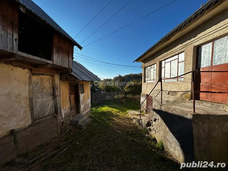 Casa batraneasca + teren 5000mp