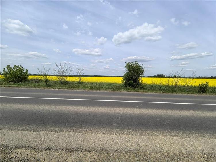 Teren 7 HA cu FS de 143 ml la DJ682 langa zona industriala Zadareni - 4