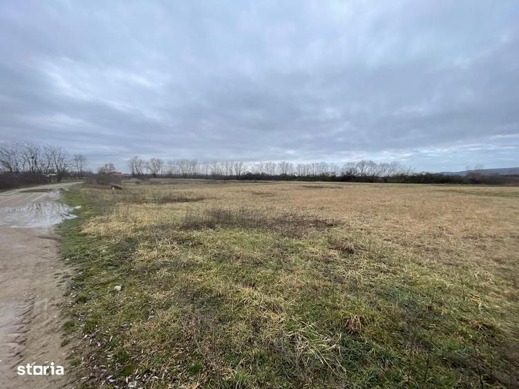 5700 mp Teren intrav. zona Mini Paradis, deschidere 44 ml- 28 eur/mp - 1