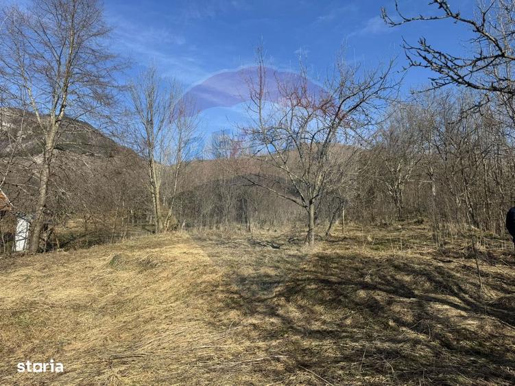 Casa din piatra la poalele Bedeleului Izvoarele, Alba - 12