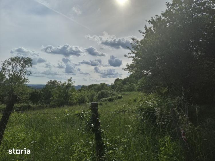 Teren Intravilan - Generos (2800 mp) - Zona superba foarte aproape de - 3