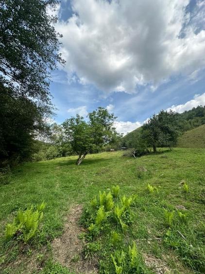 Teren 2 hectare pe Valea Ariesului, zona Scarita-Belioara, pret oportun 2 Eur/mp - 12