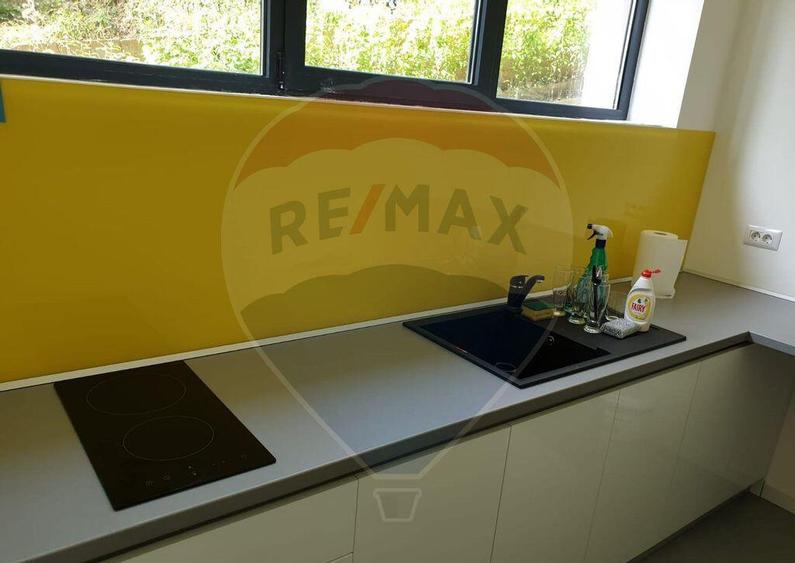 Spa?iu comercial Vanzare cu Chiriasi | Taietura Turcului - 2