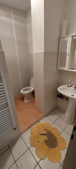 Vand casa renovata la ?ara - 1