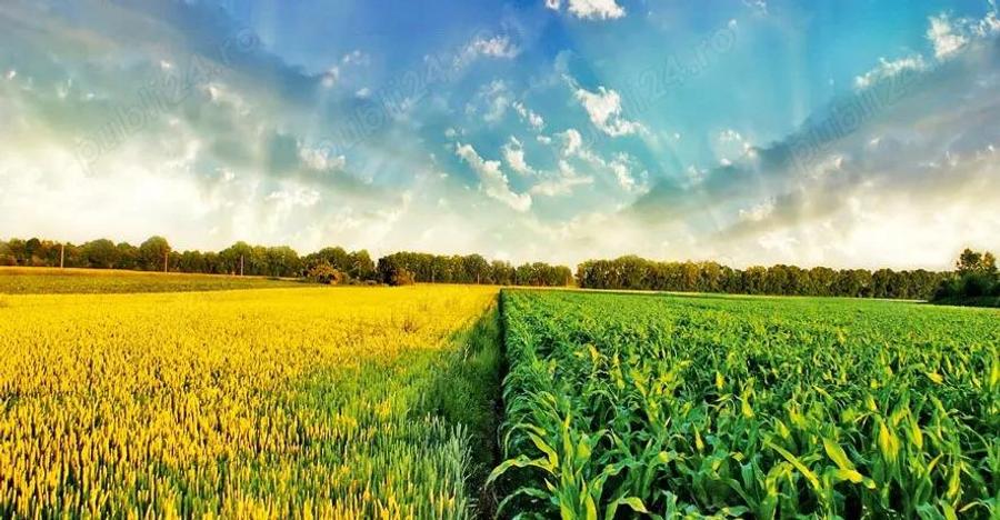 Judetul Dambovita, teren agricol - 1