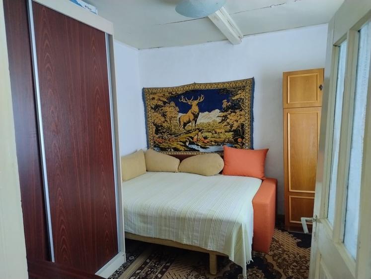 Sat Luptatori, comuna Frasinet, jud.Calarasi - 1