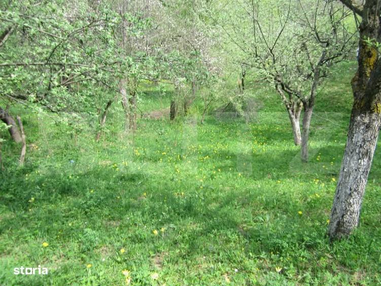 Teren de vanzare, 884 mp, zona Runcu - 5