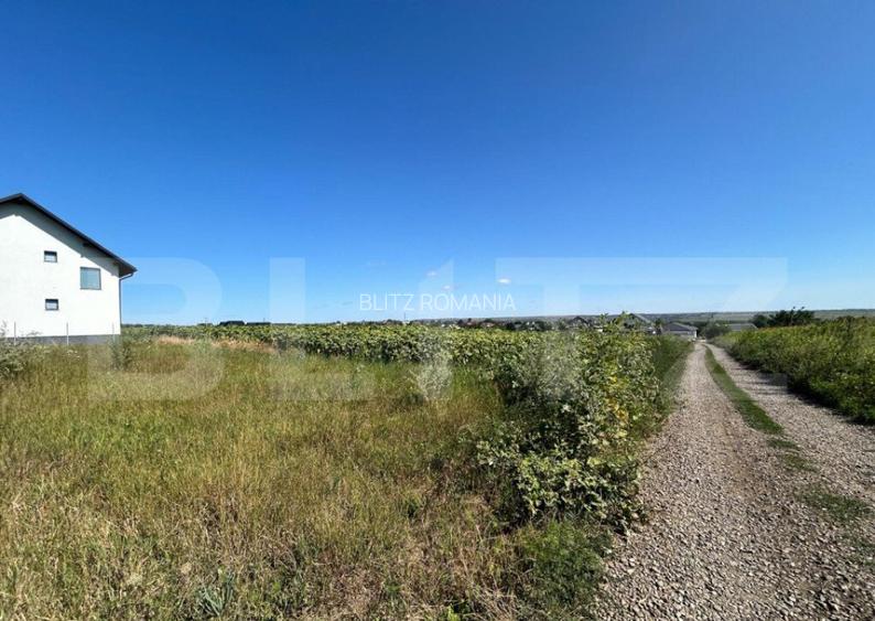 Teren intravilan , 2600 mp, dedicat investitorilor Ipotesti Teren intravilan , 2600 mp, dedicat investitorilor Ipotesti