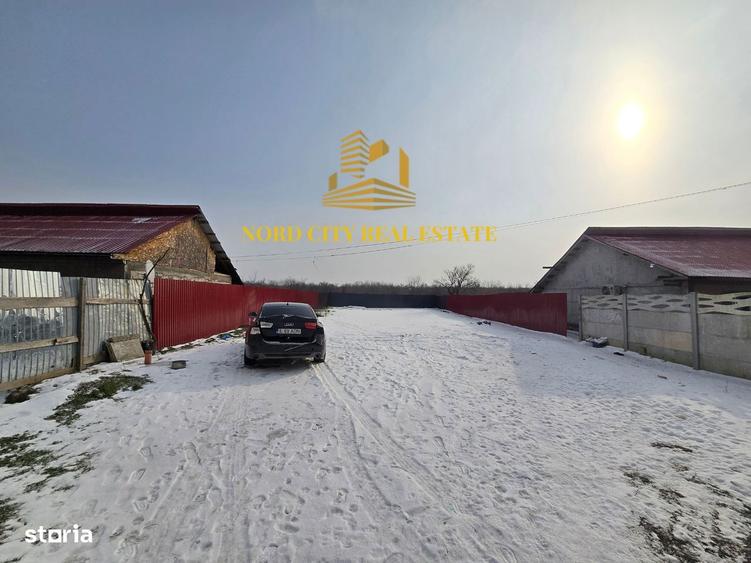 Teren Ganeasa | sat Piteasca - 2