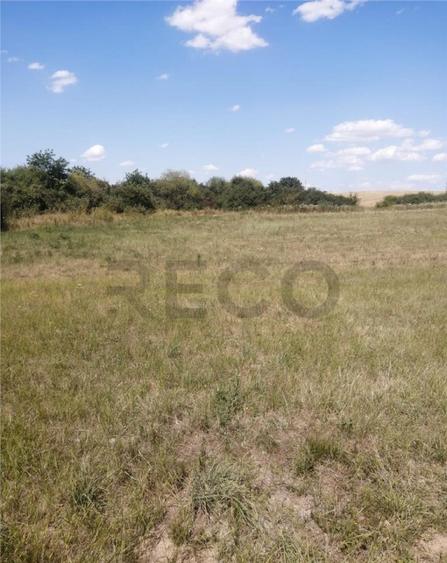 RECO, Teren in Pausa, Nojorid - 3