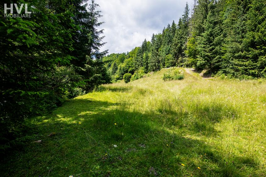 Teren curti constructii in Arieseni - 2