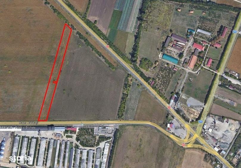 Vanzare teren extravilan Cuza-Voda, Calarasi - 2