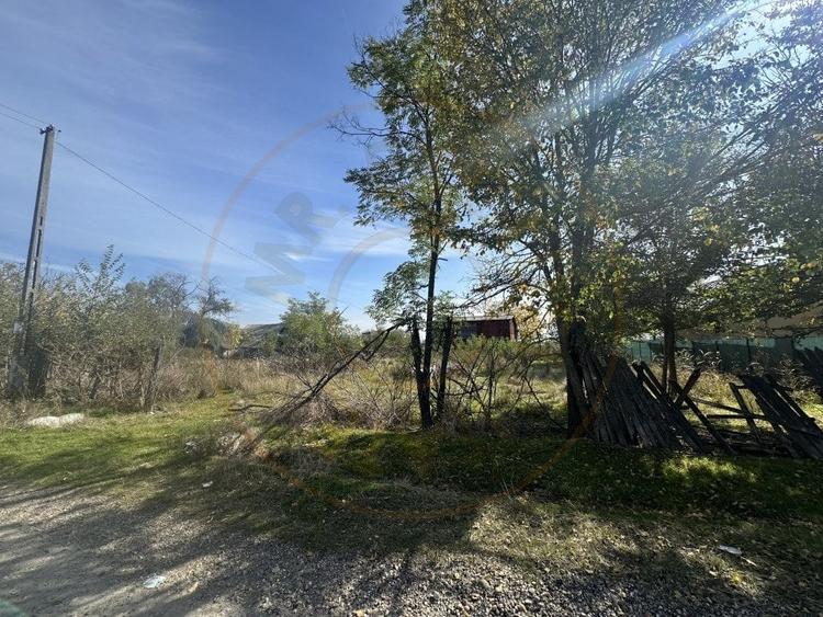 Teren 5216 mp la drum principal com. Ratesti - 6