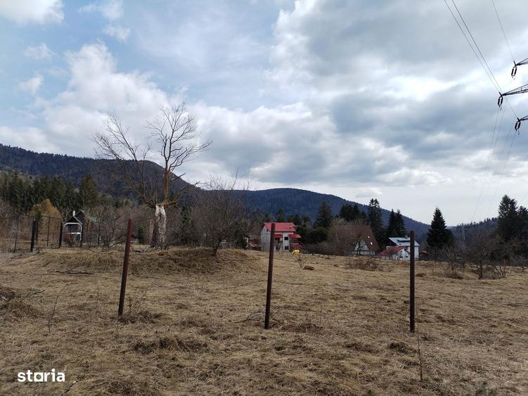 Teren intravilan cartier Cumpatu - 2